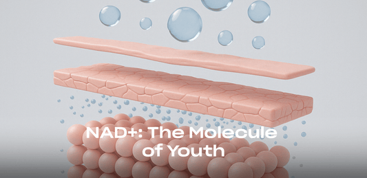 NAD+ for Skin Health – Unlocking the Power of Topically Bioavailable NAD+ Precursors