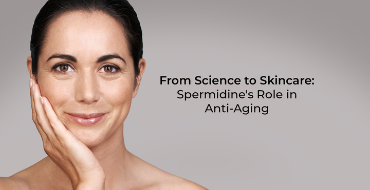 From Science to Skincare: Spermidine's Role in Anti-Aging