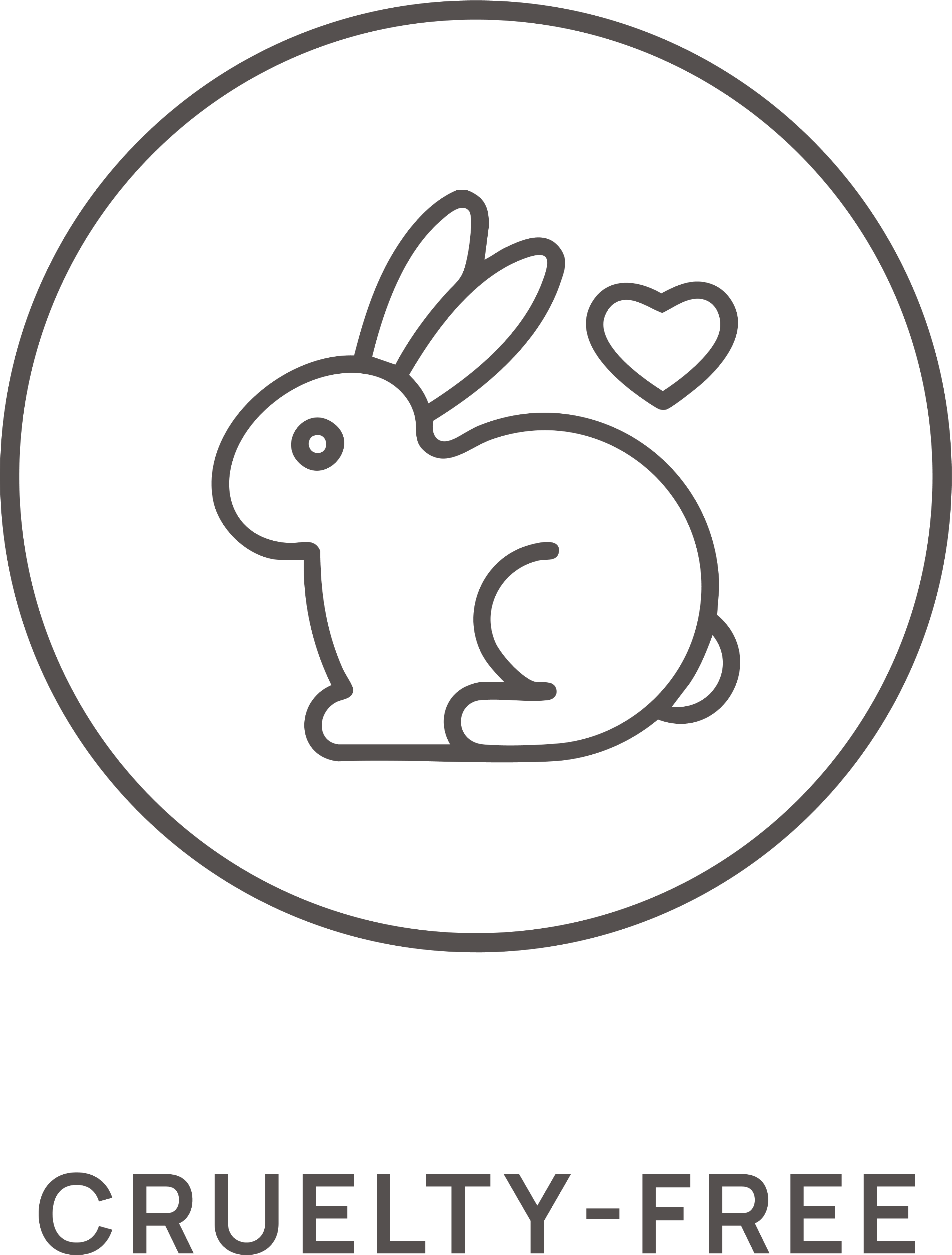 Icon 2