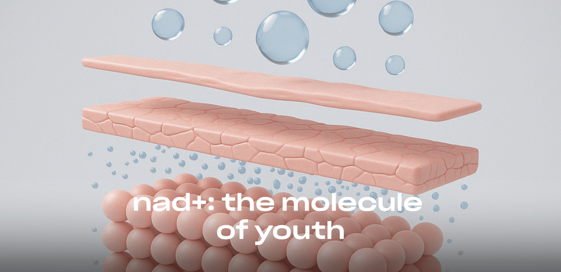 NAD+ for skin health – unlocking the power of topically bioavailable NAD+ precursors