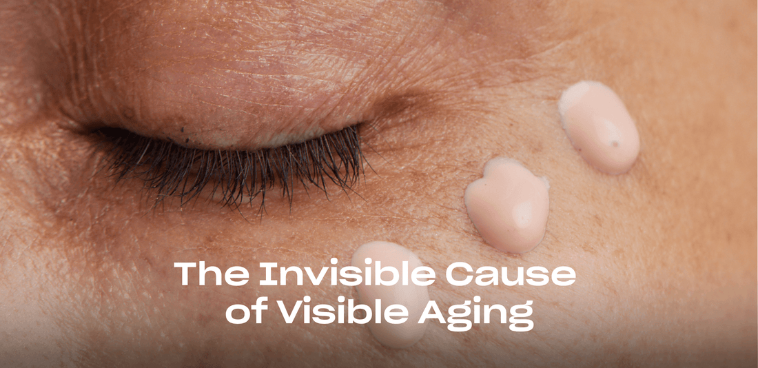 The Impact of Genomic Instability on Skin Health and Aging