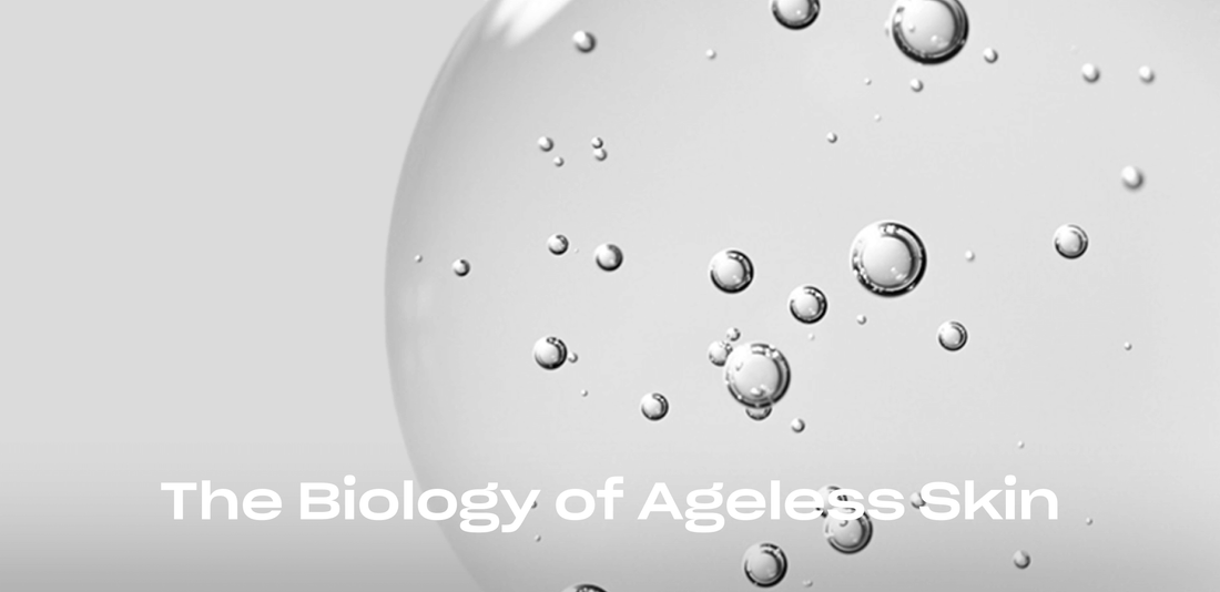 The Science of Skin Longevity: Understanding the Cellular Blueprint for Ageless Skin