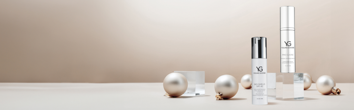 Holiday Gift Guide