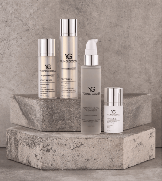 Youth Restoration Routine
