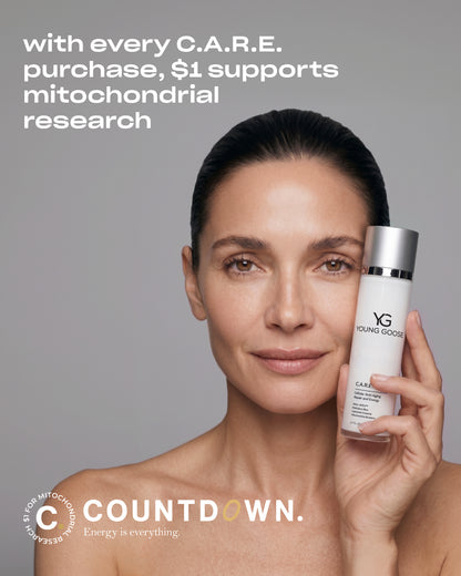 C.A.R.E. | NEW FORMULA