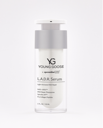 THE RED LIGHT AMPLIFICATION SET