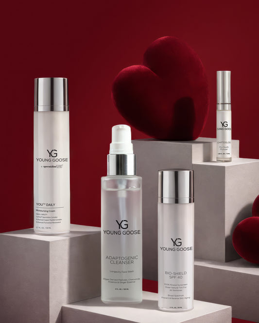 THE MOST LOVED ESSENTIALS