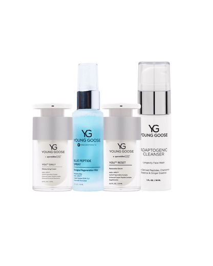 THE JETSETTER LONGEVITY SET