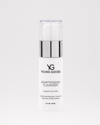 THE JETSETTER LONGEVITY SET