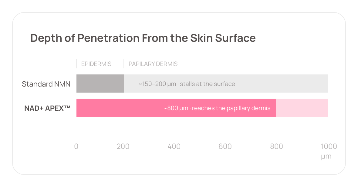 Depth of penetration chart