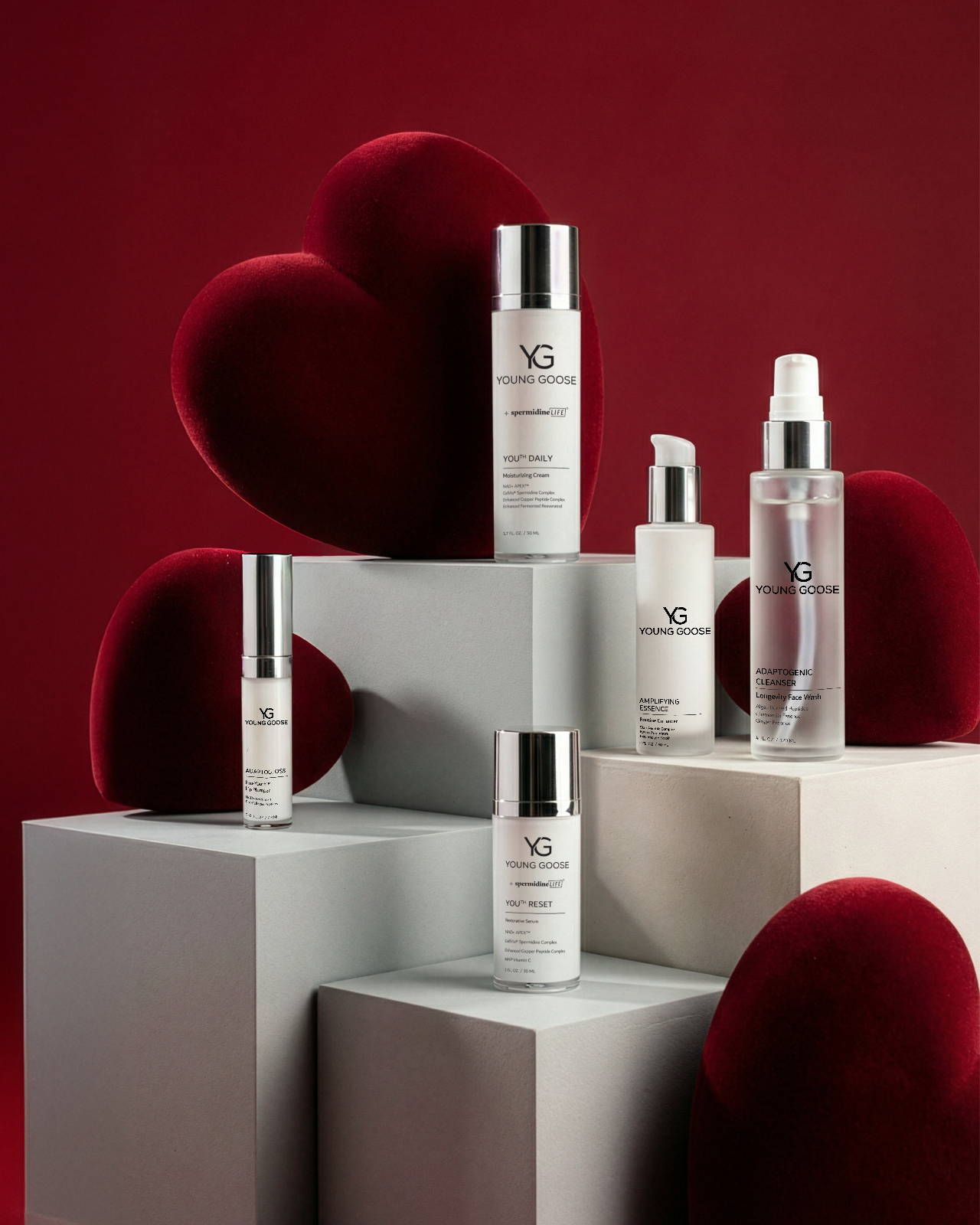 THE CHOSEN FAVORITES