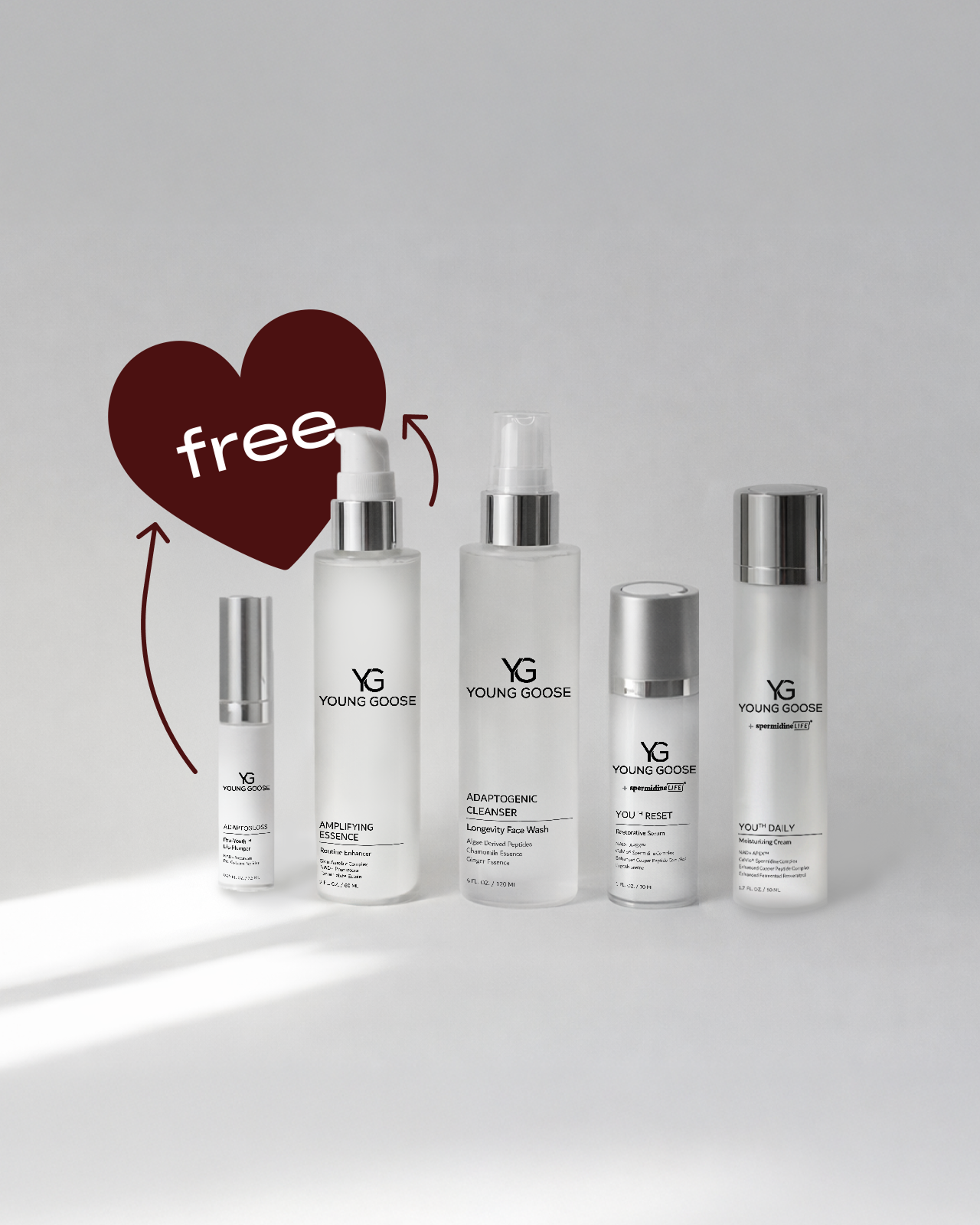 THE CHOSEN FAVORITES