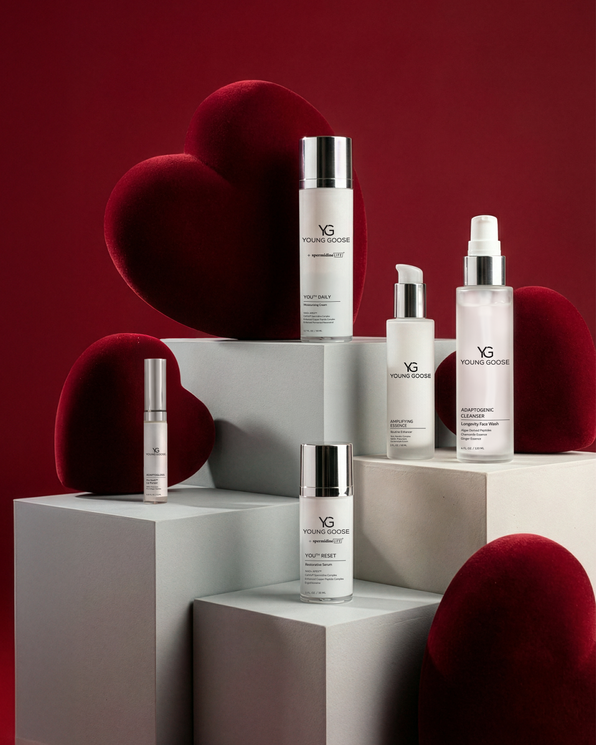 THE CHOSEN FAVORITES