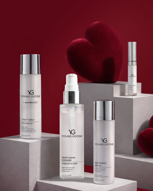 THE MOST LOVED ESSENTIALS