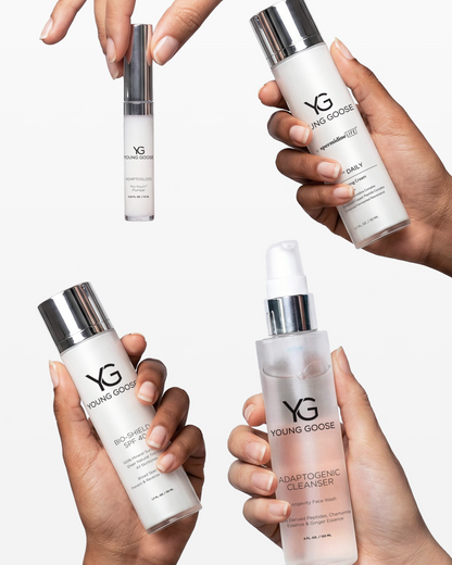 THE MOST LOVED ESSENTIALS