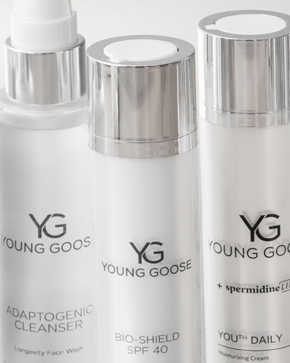 THE MOST LOVED ESSENTIALS